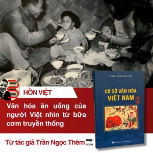 (tái bản lần thứ 9) CƠ SỞ VĂN HÓA VIỆT NAM - GS.TSKH. Trần Ngọc Thêm - NXB Đại Học Quốc Gia
