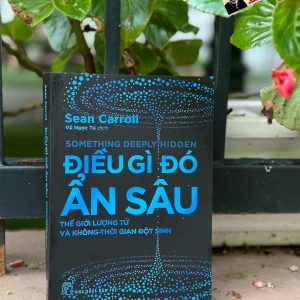 ĐIỀU GÌ ĐÓ ẨN SÂU - Thế Giới Lượng Tử Và Không-Thời Gian Đột Sinh - Sean Carroll - Vũ Ngọc Tú dịch - NXB Trẻ