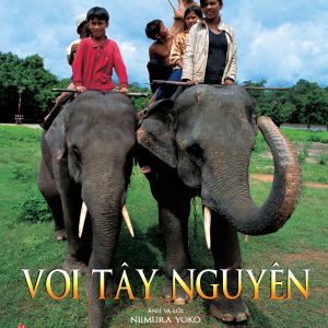 VOI TÂY NGUYÊN - Miimura Yoko - Higuchi Hoa dịch - NXB Kim Đồng