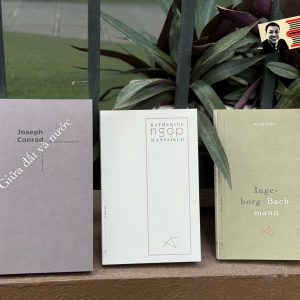 (Combo 3 cuốn) BA LỐI TỚI HỒ - GIỮA ĐẤT VÀ NƯỚC - NGỢP - FORMApubli