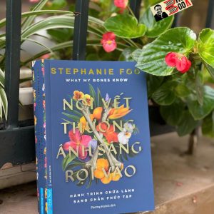 NƠI VẾT THƯƠNG ÁNH SÁNG RỌI VÀO – Stephanie Foo – Phương Huỳnh dịch – First news – NXB Tổng hợp HCM