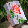 BỘ POSTCARD HOA HỒNG sử dụng 100 bức minh hoạ gốc trong sách Les Roses – Redoute (Nho Xanh)