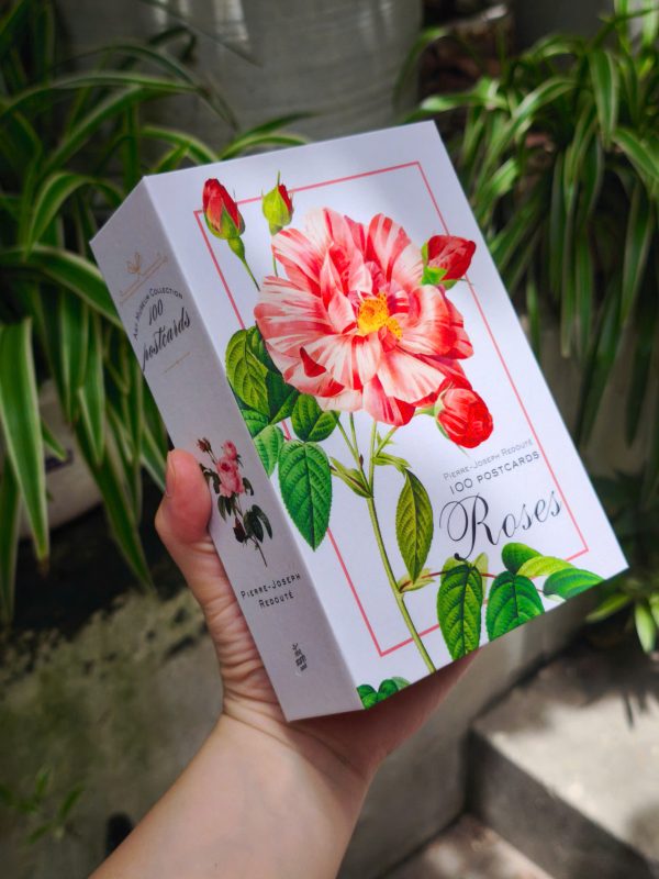 BỘ POSTCARD HOA HỒNG sử dụng 100 bức minh hoạ gốc trong sách Les Roses – Redoute (Nho Xanh)