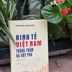 KINH TẾ VIỆT NAM THĂNG TRẦM VÀ ĐỘT PHÁ - Phạm Minh Chính, Vương Quân Hoàng - NXB Chính Trị Quốc Gia Sự Thật