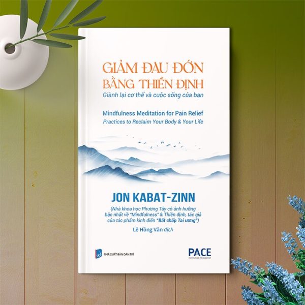 (Bìa Cứng) GIẢM ĐAU ĐỚN BẰNG THIỀN ĐỊNH - Jon Kabat-Zinn - Lê Hồng Vân dịch – PACE Books - NXB Dân Trí