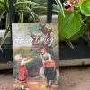 HIỂU BETSY – Dorothy Canfield Fisher – Khánh Trang dịch – The Hitcher – NXB Văn học