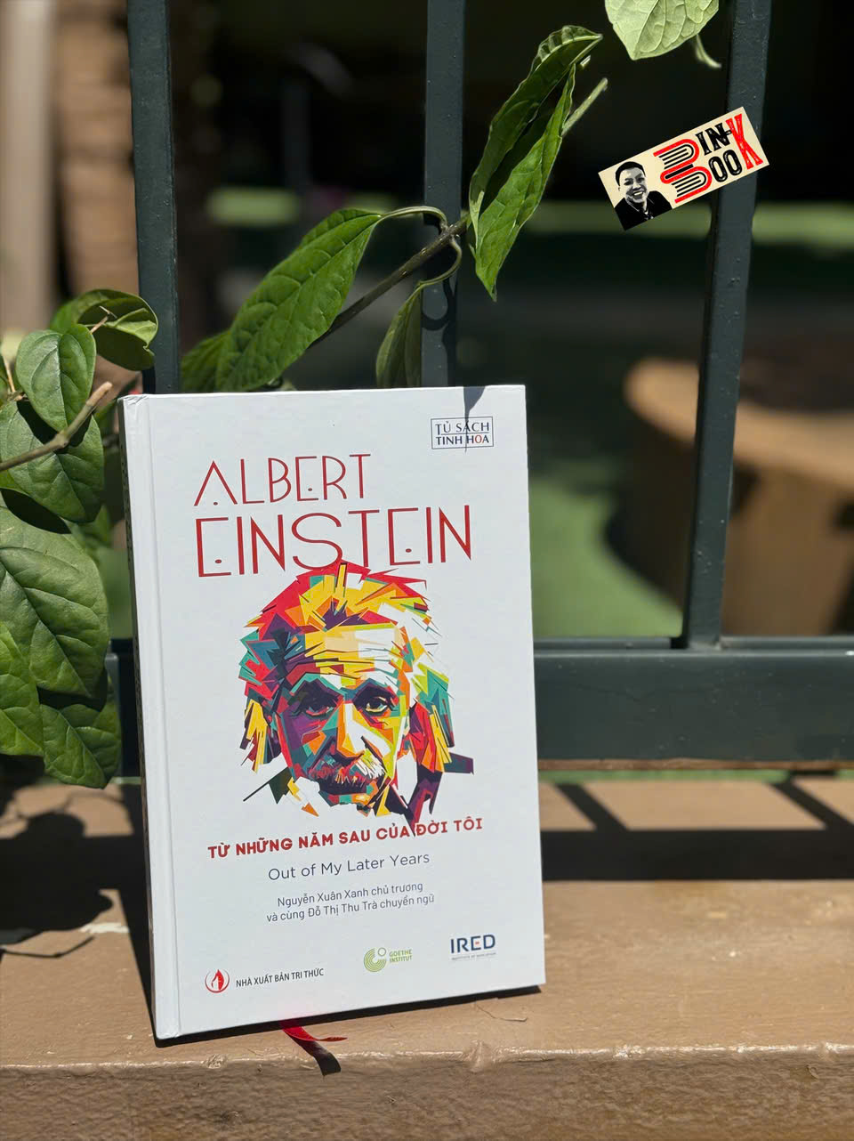 (Bìa cứng) TỪ NHỮNG NĂM SAU CỦA ĐỜI TÔI - Albert Einstein – IRED Books