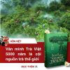 (Bìa cứng, tái bản 2025, bổ sung 200 trang) 5000 NĂM VĂN MINH TRÀ VIỆT – Trịnh Quang Dũng - Mochibooks