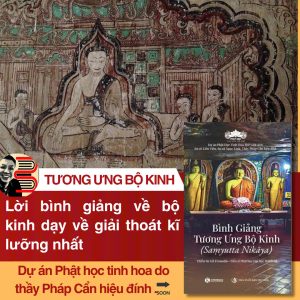 BÌNH GIẢNG TƯƠNG ƯNG BỘ KINH - Thiền sư Gil Fronsdal - NXB Tri Thức - Thái Hà Books