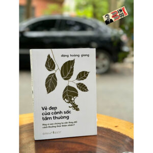 (Giải Cứu Sách, Bìa cứng) VẺ ĐẸP CỦA CẢNH SẮC TẦM THƯỜNG - Đặng Hoàng Giang - Omega Plus