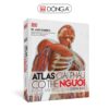 ATLAS GIẢI PHẪU CƠ THỂ NGƯỜI – BS. Alice Roberts – DS. Lê Quang Toản, BS. Lê Thị Hồng Khánh dịch –  PGS.TS. Nguyễn Xuân Thùy hiệu đính – Đông A
