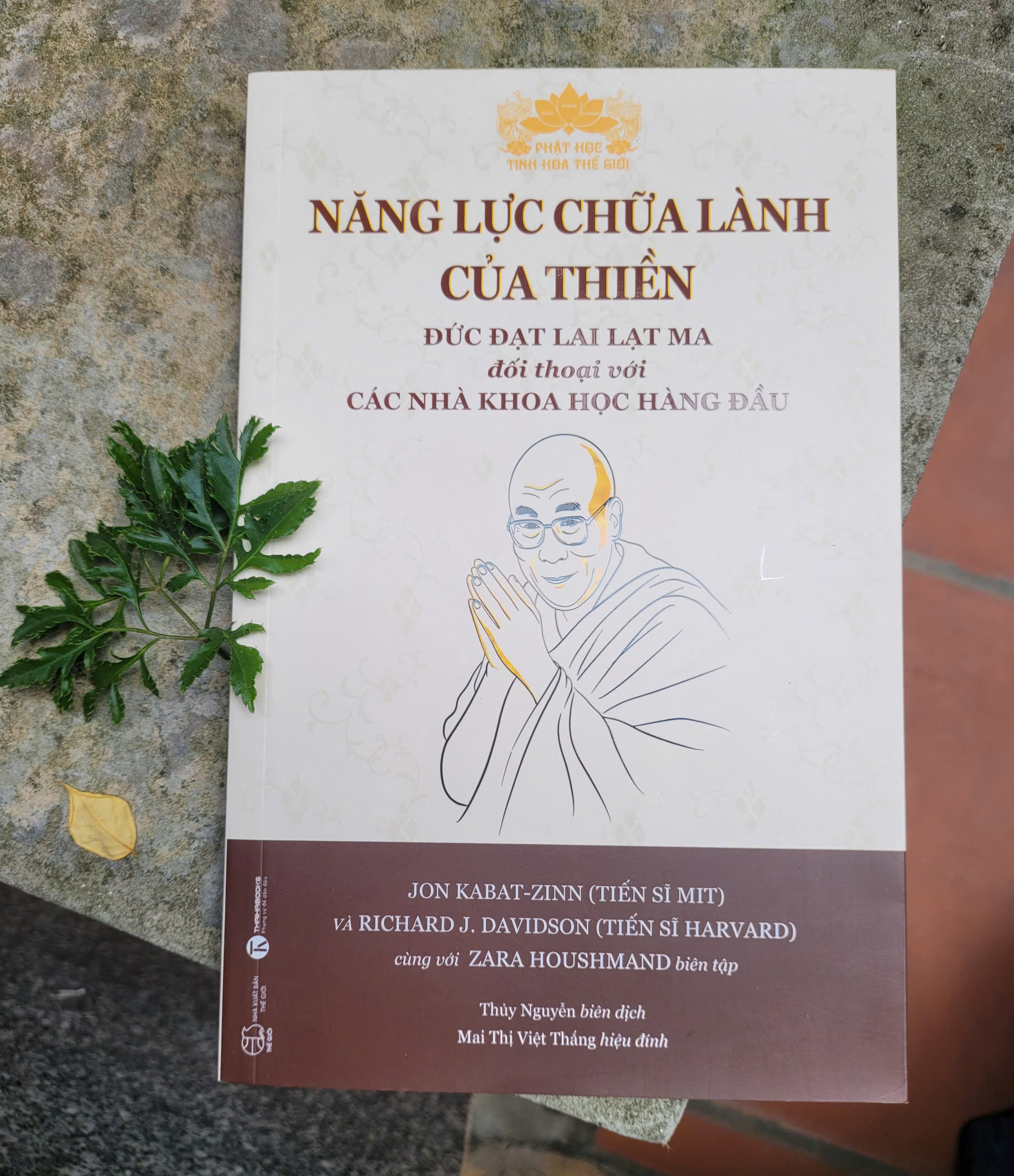NĂNG LỰC CHỮA LÀNH CỦA THIỀN - Đức Đạt Lai Lạt Ma Đối Thoại Với Các Nhà Khoa Học Hàng Đầu - Jon Kabat-zinn và Richard J. Davidson cùng với Zara Houshmand biên tập - Thủy Nguyễn biên dịch - Mai Thị Việt Thắng hiệu đính - Thaihabooks