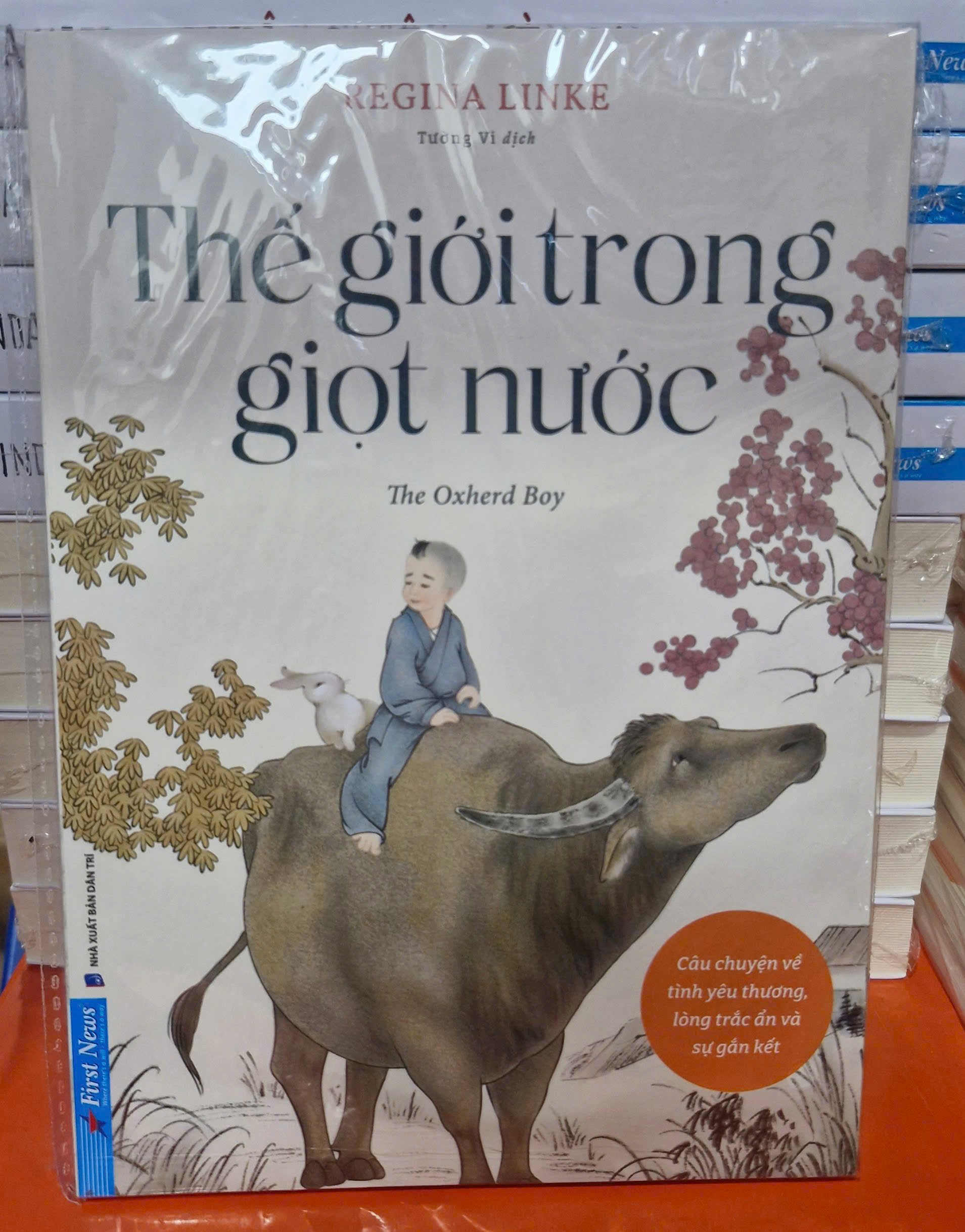 THẾ GIỚI TRONG GIỌT NƯỚC - Regina Linke - Tường Vi dịch - First News