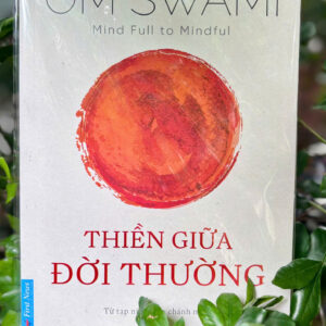 THIỀN GIỮA ĐỜI THƯỜNG - Om Swami - Việt Bích dịch - First News