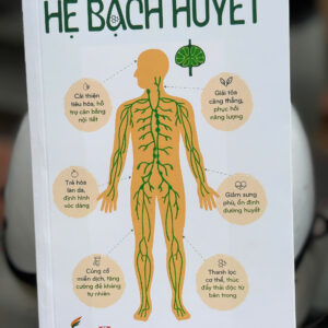 HỆ BẠCH HUYẾT - Lisa Levitt Gainsley -  Trần Văn Kha dịch - 1980 Books