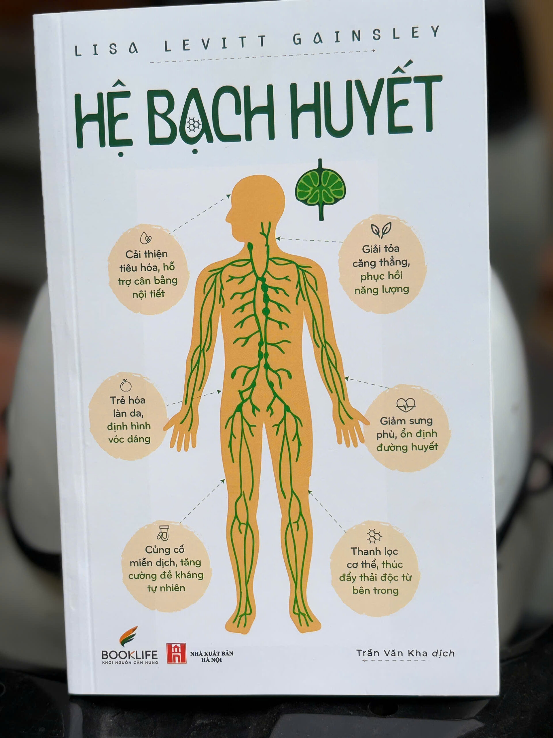 HỆ BẠCH HUYẾT - Lisa Levitt Gainsley - Trần Văn Kha dịch - 1980 Books
