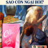 CỞI, TẤT TẦN TẬT VỀ BODY EVA - TS. BS. Phụ Khoa Sheila De Liz - Thanh Thủy dịch - NXB Tổng Hợp HCM